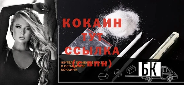 дмт Гусев