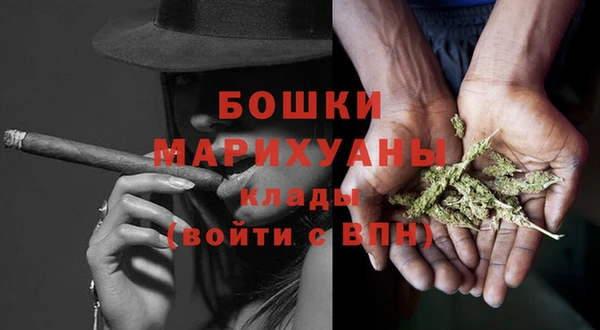 дмт Гусев