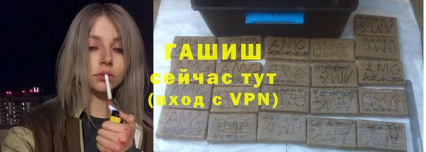дмт Гусев