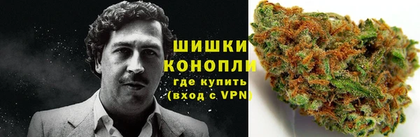 дмт Гусев