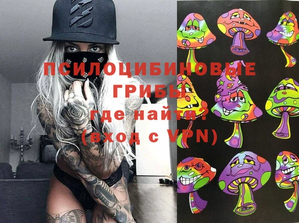 дмт Гусев