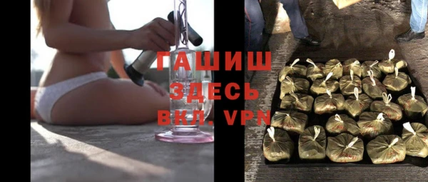 дмт Гусев