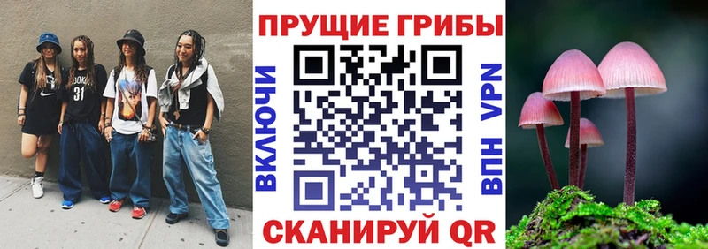 omg ТОР  Оха  Галлюциногенные грибы Psilocybine cubensis 